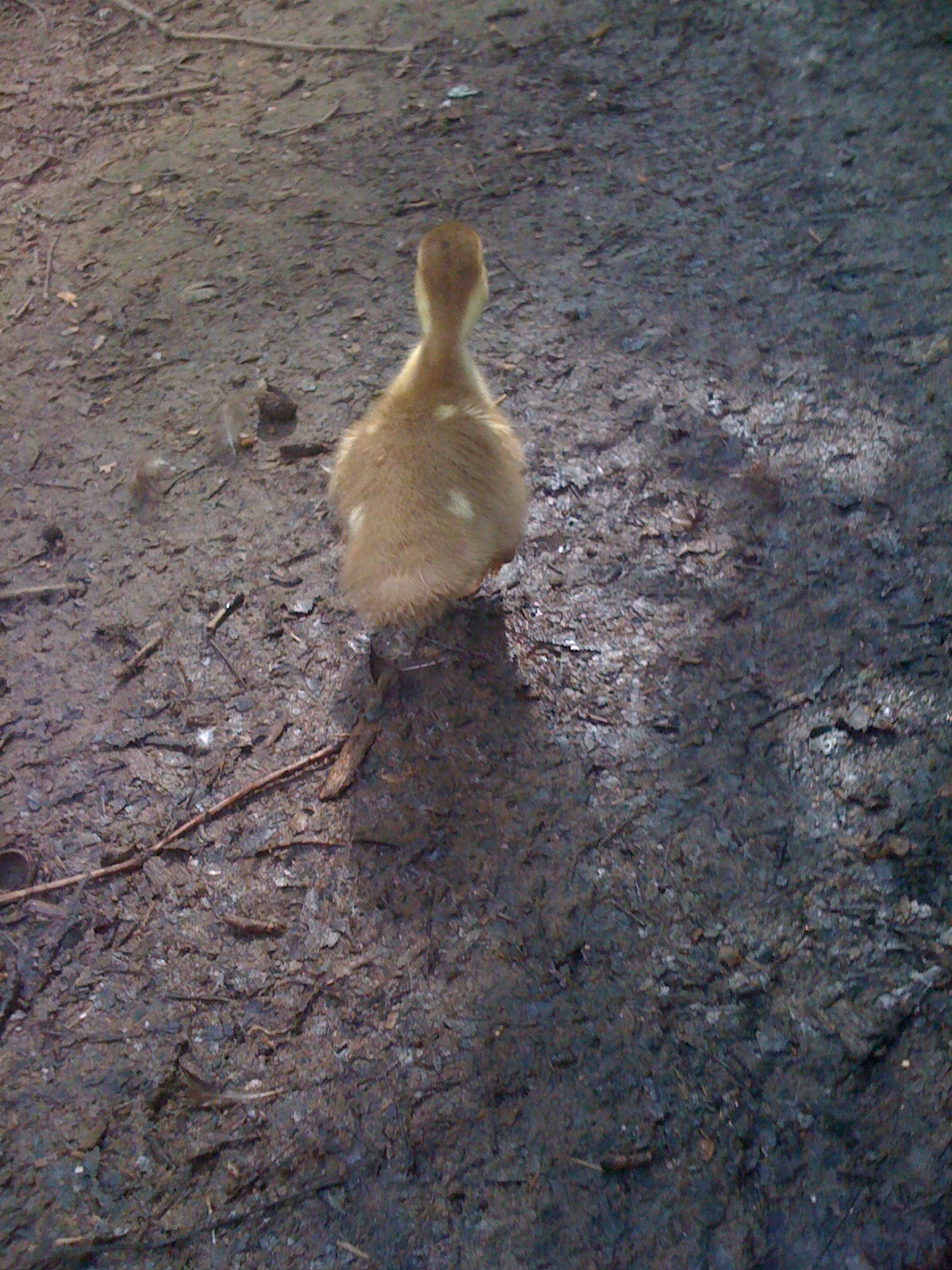 farmageddon production still 9