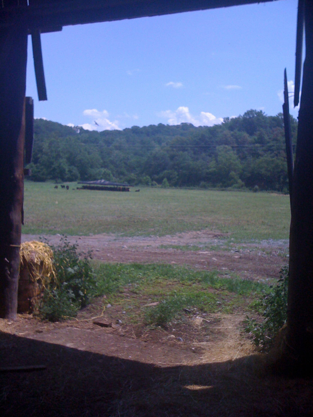 farmageddon production still 14