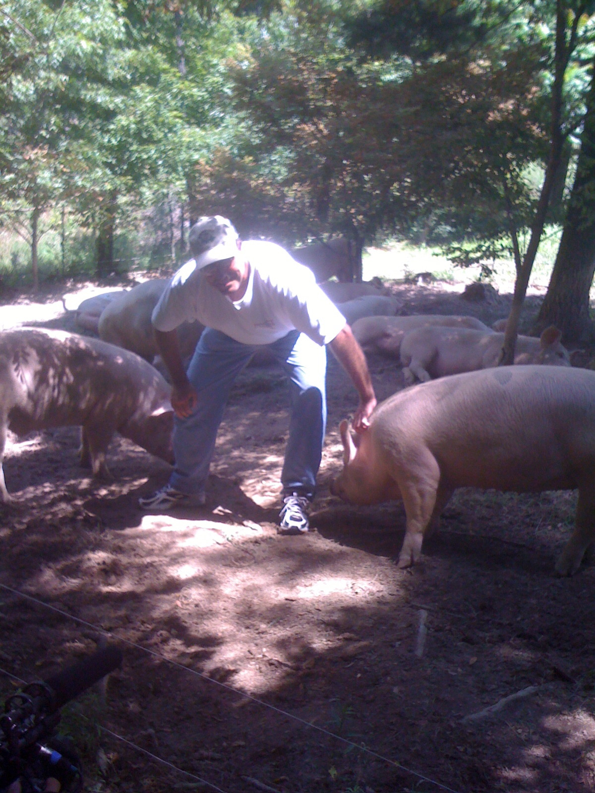 farmageddon production still 8