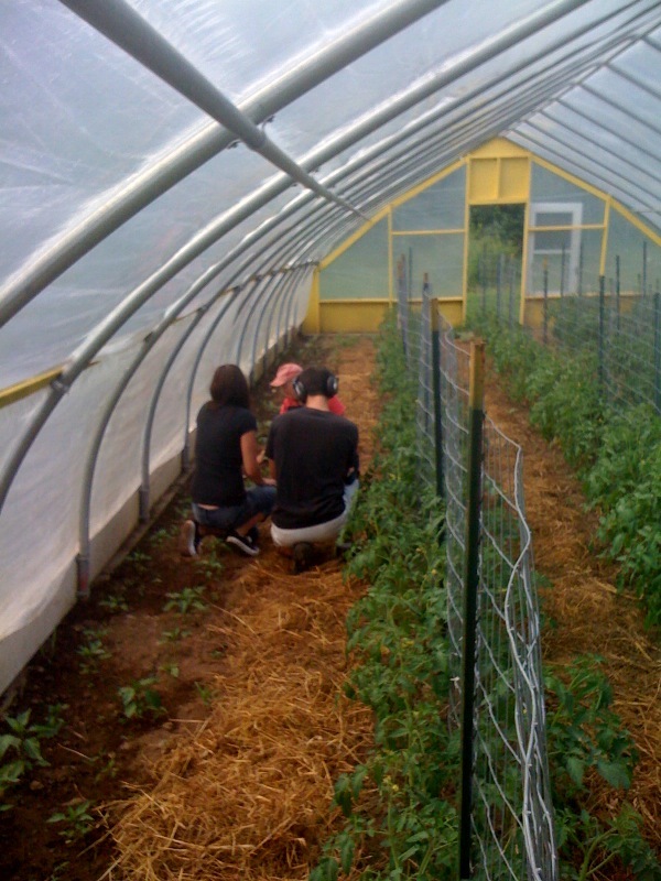 farmageddon production still 2