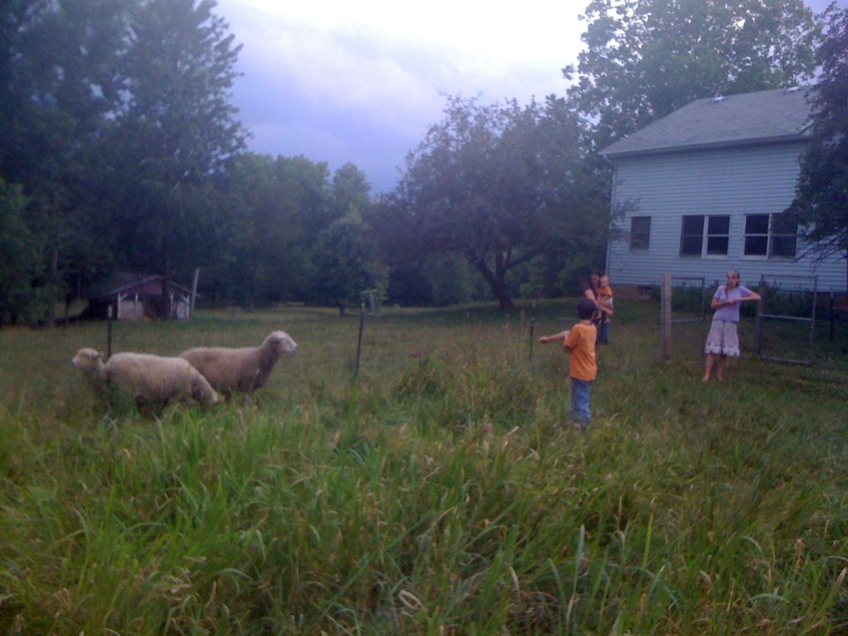 farmageddon production still 15